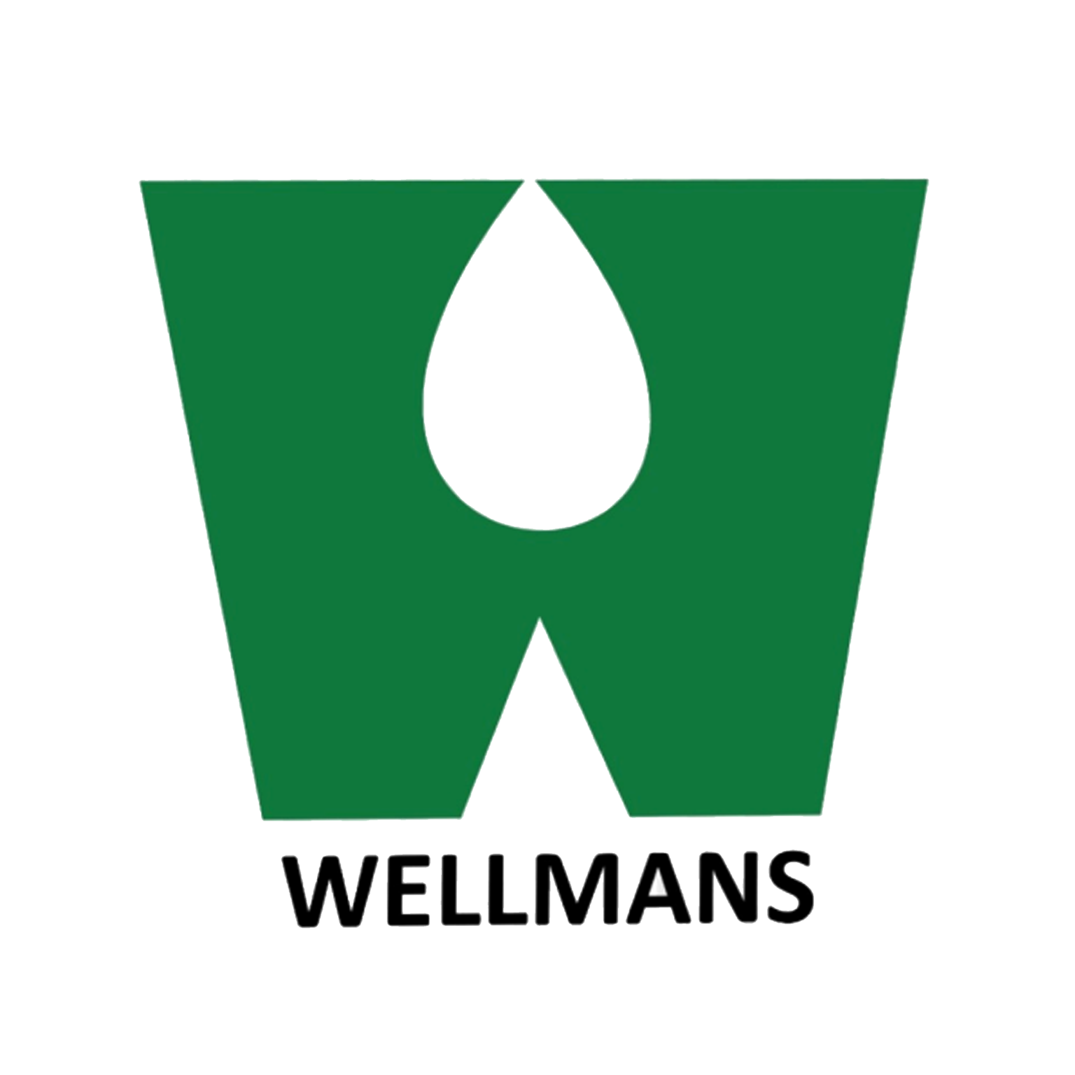 WELLMANS