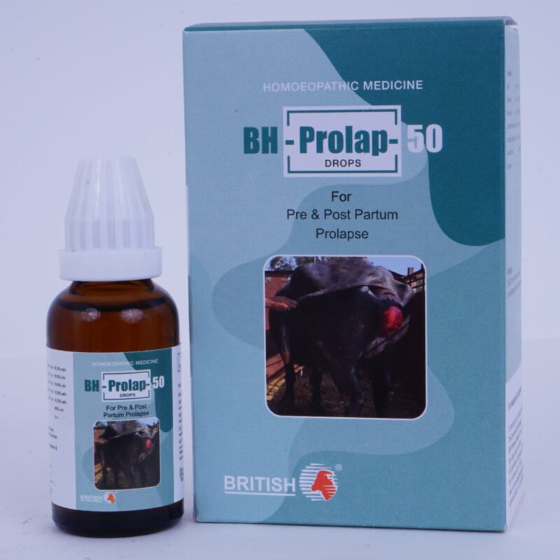 BH-Prolap-50