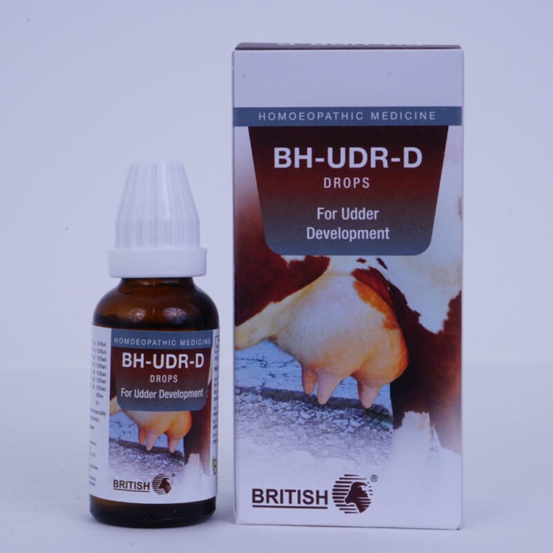 BH-UDR-D