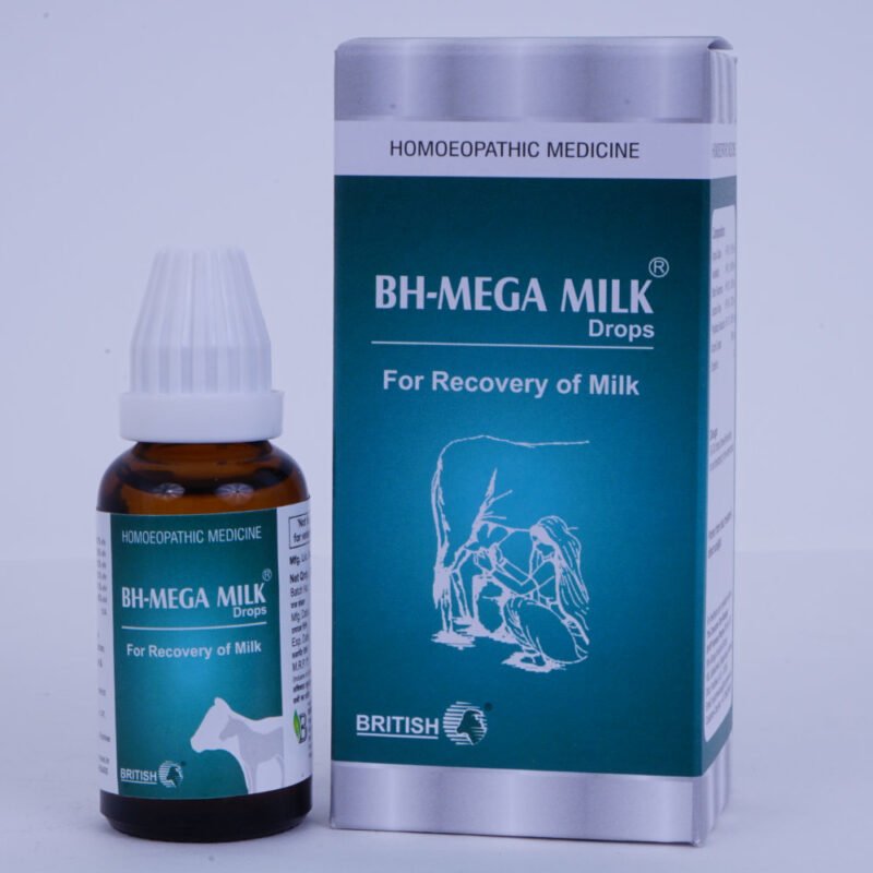BH- Mega Milk