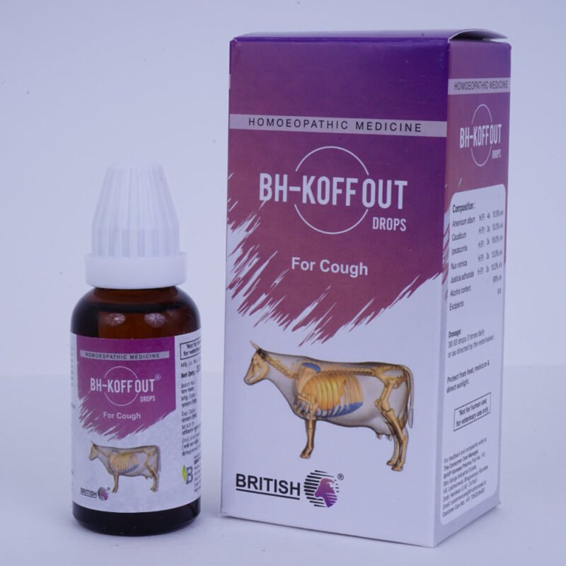 BH-Koff Out