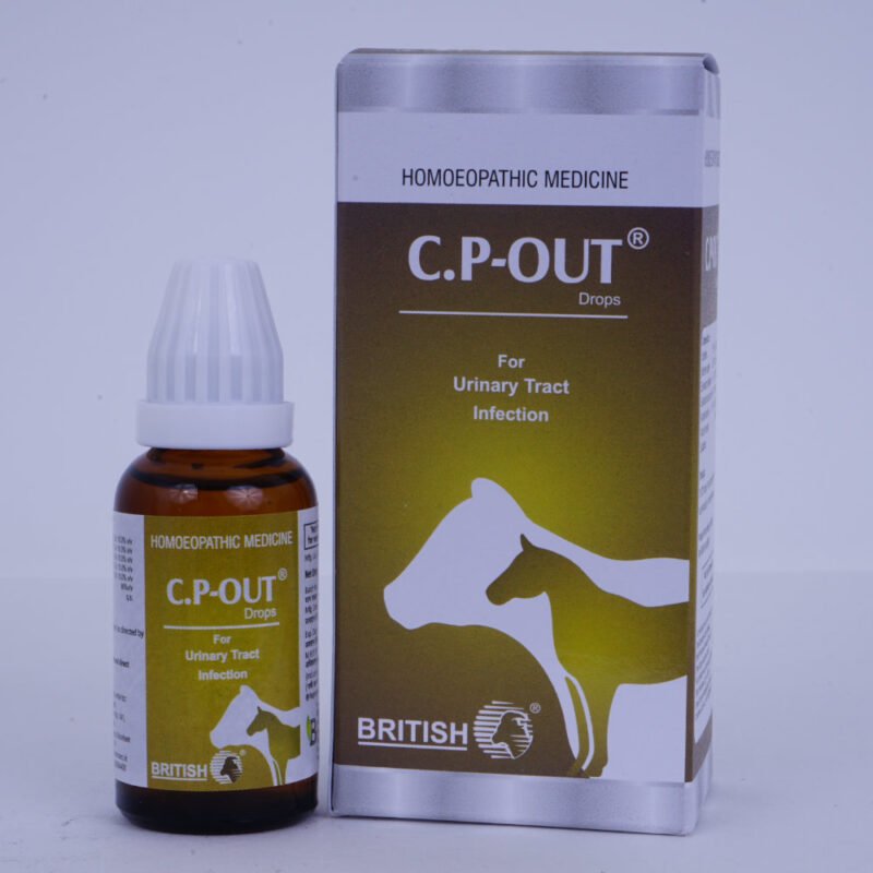 BH-C.P – Out