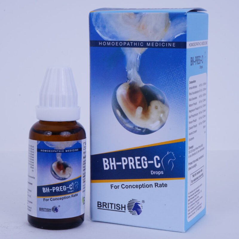 BH-Preg-C