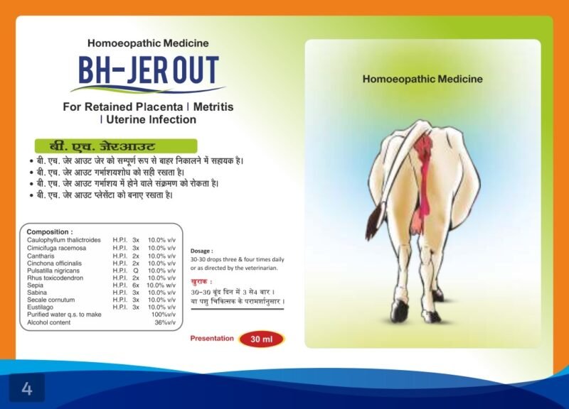 BH- JER OUT