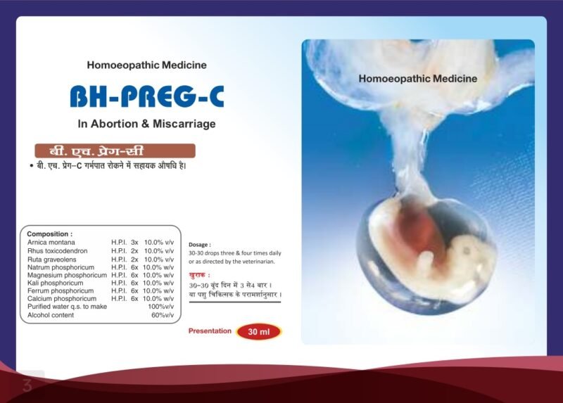 BH-Preg-C