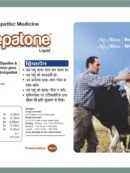 BH-Hepatone