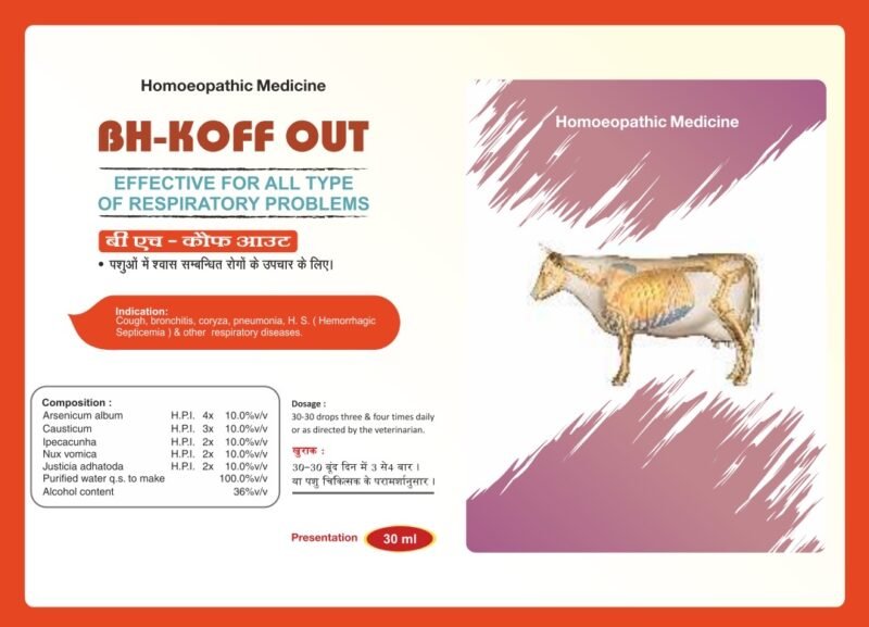 BH-Koff Out